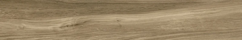 2026_07_18_950998